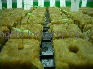 Hydroponic stonewool Grow Cubes