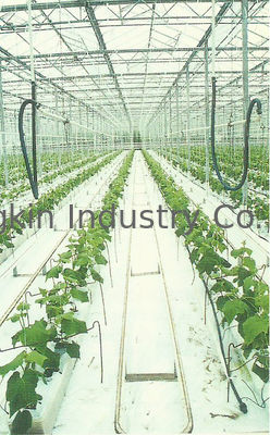 100kg/m3 Hydroponic stonewool Cubes Growing Medium For Fruits Planting